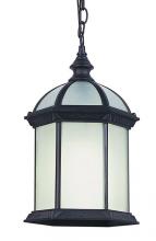 Trans Globe 4183 BK - 1LT HANGING LANTERN-BEVELED GL